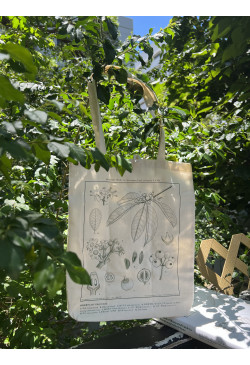 香港原生植物系列 小果鐵冬青摺疊布袋