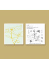 2023 Hong Kong Native Plants Monthly Calendar (Out of Stock)