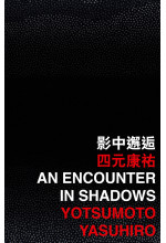 An Encounter in Shadows