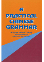 A Practical Chinese Grammar
