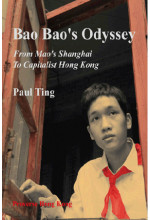 Bao Bao's Odyssey